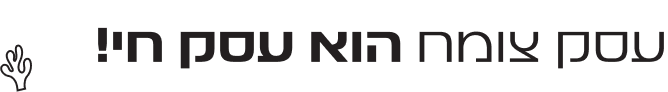 סליידר עסק צומח3